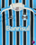 Grêmio I 2011