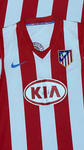 Atlético de Madrid I 2008-09