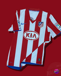 Atlético de Madrid I 2008-09