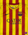 Barcelona II 2013-14